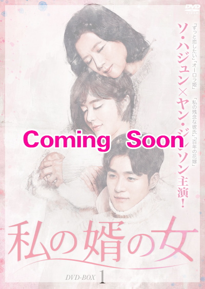 韓国ドラマ「私の婿の女」 DVD-BOX　
