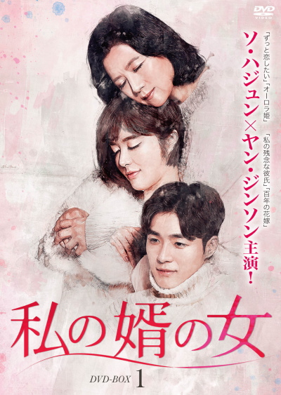 韓国ドラマ「私の婿の女」 DVD-BOX1