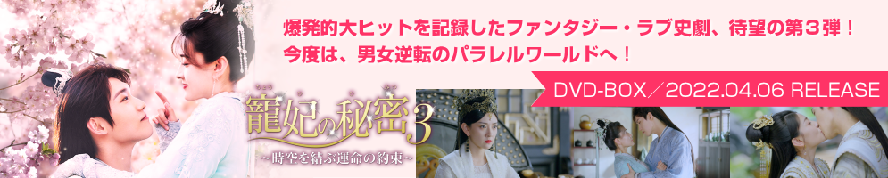 寵妃の秘密3〜時空を結ぶ運命の約束〜 DVD-BOX